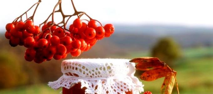 Red rowan jam - a simple and healthy recipe Red rowan syrup for the winter recipes